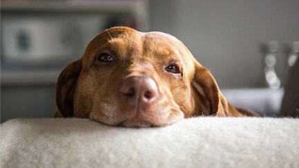 Heartfelt essential facts